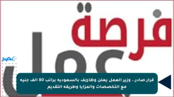 قرار صادر.. وزير العمل يعلن وظائف بالسعودية براتب 80 ألف جنيه مع التخصصات والمزايا وطريقة التقديم